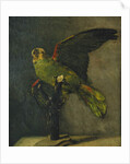 The Green Parrot; Le Perroquet Vert, 1885 by Vincent van Gogh
