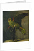 The Green Parrot; Le Perroquet Vert, 1885 by Vincent van Gogh