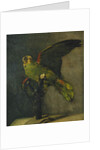 The Green Parrot; Le Perroquet Vert, 1885 by Vincent van Gogh