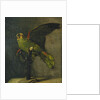 The Green Parrot; Le Perroquet Vert, 1885 by Vincent van Gogh