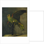 The Green Parrot; Le Perroquet Vert, 1885 by Vincent van Gogh