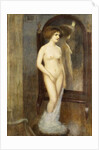A Nude at the Mirror by Louis Picard