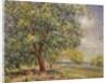Walnut Tree at Sablons in Spring; Noyers aux Sablons, Primptemps, 1885 by Alfred Sisley