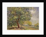 Walnut Tree at Sablons in Spring; Noyers aux Sablons, Primptemps, 1885 by Alfred Sisley