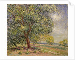 Walnut Tree at Sablons in Spring; Noyers aux Sablons, Primptemps, 1885 by Alfred Sisley