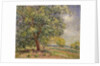 Walnut Tree at Sablons in Spring; Noyers aux Sablons, Primptemps, 1885 by Alfred Sisley