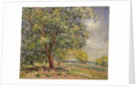 Walnut Tree at Sablons in Spring; Noyers aux Sablons, Primptemps, 1885 by Alfred Sisley