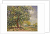 Walnut Tree at Sablons in Spring; Noyers aux Sablons, Primptemps, 1885 by Alfred Sisley
