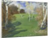 Landscape; Paysage, 1917 by Constant Montald