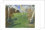 Landscape; Paysage, 1917 by Constant Montald