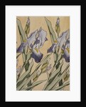 Iris, 1898 by Koloman Moser