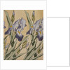 Iris, 1898 by Koloman Moser