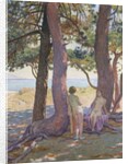 Two Nudes under Pine-Trees; Deux Nus sous les Pins, 1925 by Theo van Rysselberghe