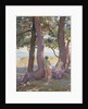 Two Nudes under Pine-Trees; Deux Nus sous les Pins, 1925 by Theo van Rysselberghe