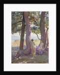 Two Nudes under Pine-Trees; Deux Nus sous les Pins, 1925 by Theo van Rysselberghe