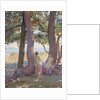 Two Nudes under Pine-Trees; Deux Nus sous les Pins, 1925 by Theo van Rysselberghe
