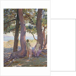 Two Nudes under Pine-Trees; Deux Nus sous les Pins, 1925 by Theo van Rysselberghe