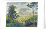 Vineyards Under the Pines; Les Vignobles sous les Pins, c. 1898 by Paul Ranson