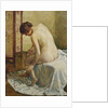Bather by Theo van Rysselberghe