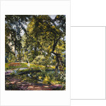 Garden in Godrammstein with a Twisted Tree and Pond by Max Slevogt