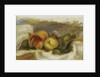 Peaches by Pierre Auguste Renoir