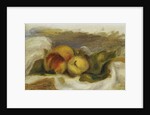 Peaches by Pierre Auguste Renoir