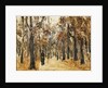 Zoological Gardens in Autumn with Figures Walking; Tiergarten im Herbst mit Spaziergangern by Max Liebermann