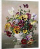 A Still Life with Pansies by Albert Williams