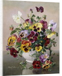 A Still Life with Pansies by Albert Williams