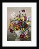A Still Life with Pansies by Albert Williams