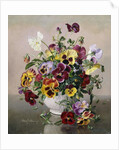 A Still Life with Pansies by Albert Williams