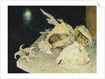 Shells by Glyn Warren Philpot