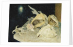 Shells by Glyn Warren Philpot