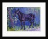 Study for Sussex Farm Horse, c. 1904-6 by Robert Polhill Bevan