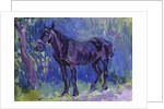 Study for Sussex Farm Horse, c. 1904-6 by Robert Polhill Bevan