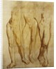 Three Studies of a Standing Male Nude by Glyn Warren Philpot