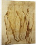 Three Studies of a Standing Male Nude by Glyn Warren Philpot