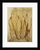 Three Studies of a Standing Male Nude by Glyn Warren Philpot
