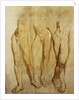 Three Studies of a Standing Male Nude by Glyn Warren Philpot