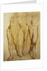 Three Studies of a Standing Male Nude by Glyn Warren Philpot