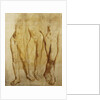 Three Studies of a Standing Male Nude by Glyn Warren Philpot
