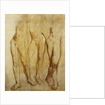 Three Studies of a Standing Male Nude by Glyn Warren Philpot