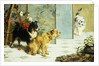 Playful Friends, 1892 by Charles van den Eycken