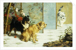 Playful Friends, 1892 by Charles van den Eycken