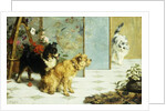 Playful Friends, 1892 by Charles van den Eycken