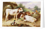 Calves and Poultry by a Byre, 1922 by Walter Hunt