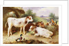 Calves and Poultry by a Byre, 1922 by Walter Hunt