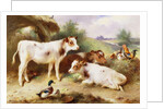 Calves and Poultry by a Byre, 1922 by Walter Hunt
