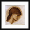 Study of a Lady's Head, by Edward Coley Burne-Jones