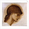 Study of a Lady's Head, by Edward Coley Burne-Jones